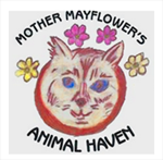 mayflower-img