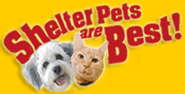 pet-shelter